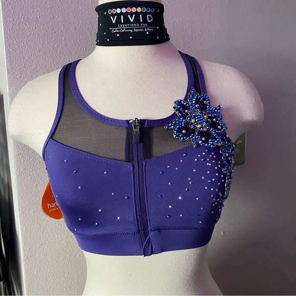 Handful Sports Bra- NBA NFL IFL WHL Pro Cheer Pro Dance Audition Top - Picture 3 of 7